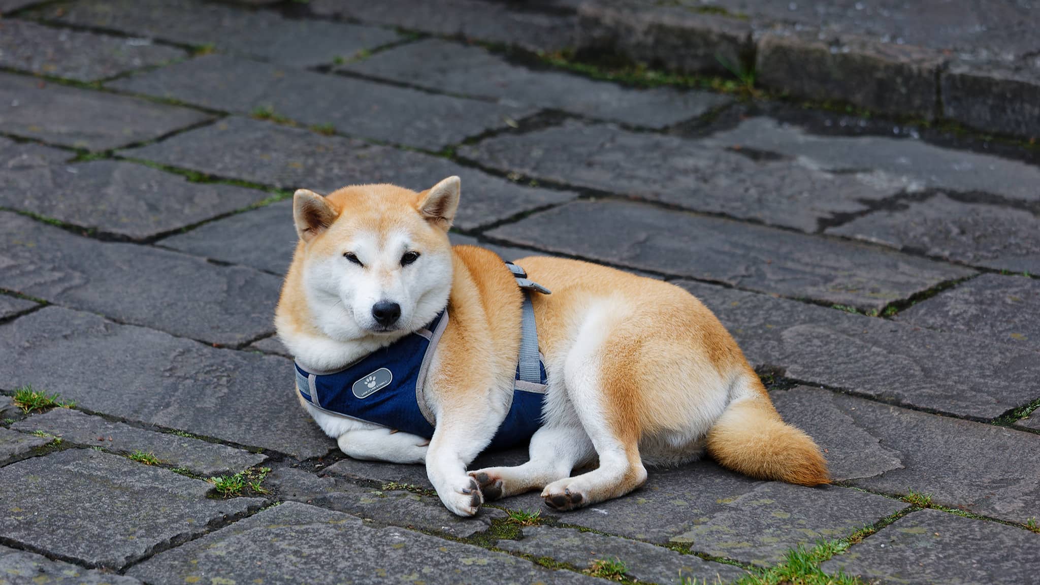 05 - Alishan (75).jpg